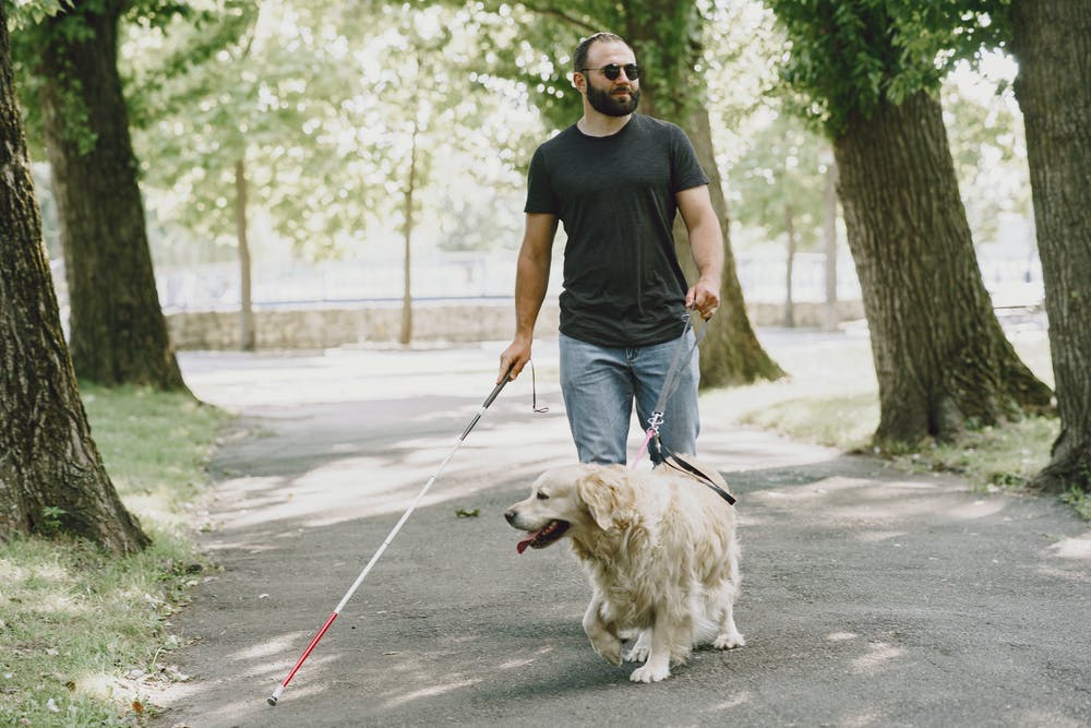 imagen de persona ciega paseando con su perro guía